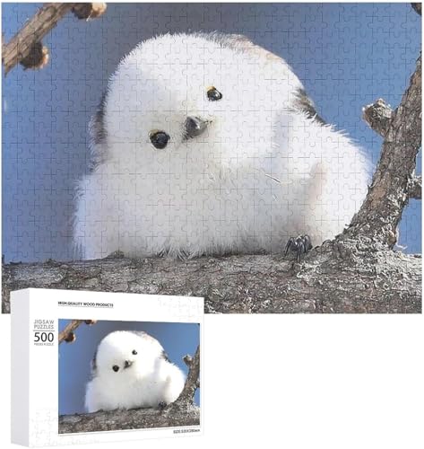 V}GiK  300 s[X WO\[pY ؐ  W[ GObY a NX}X v[g ObY l qpY SҌ Mtg