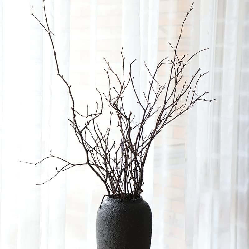 Miniatura 8 de SOUJOY 100 ramitas de abedul para jarrón, ramas de abedul secas naturales de 16 pulgadas, decoración artesanal de abedul para bricolaje, centros de