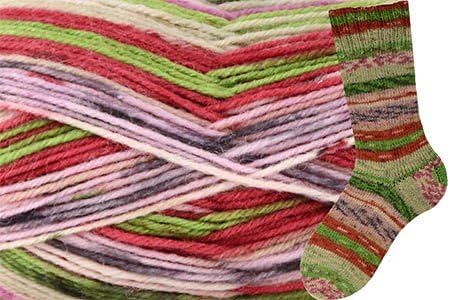 Wisdom Yarns Pix - 102 Cake Party