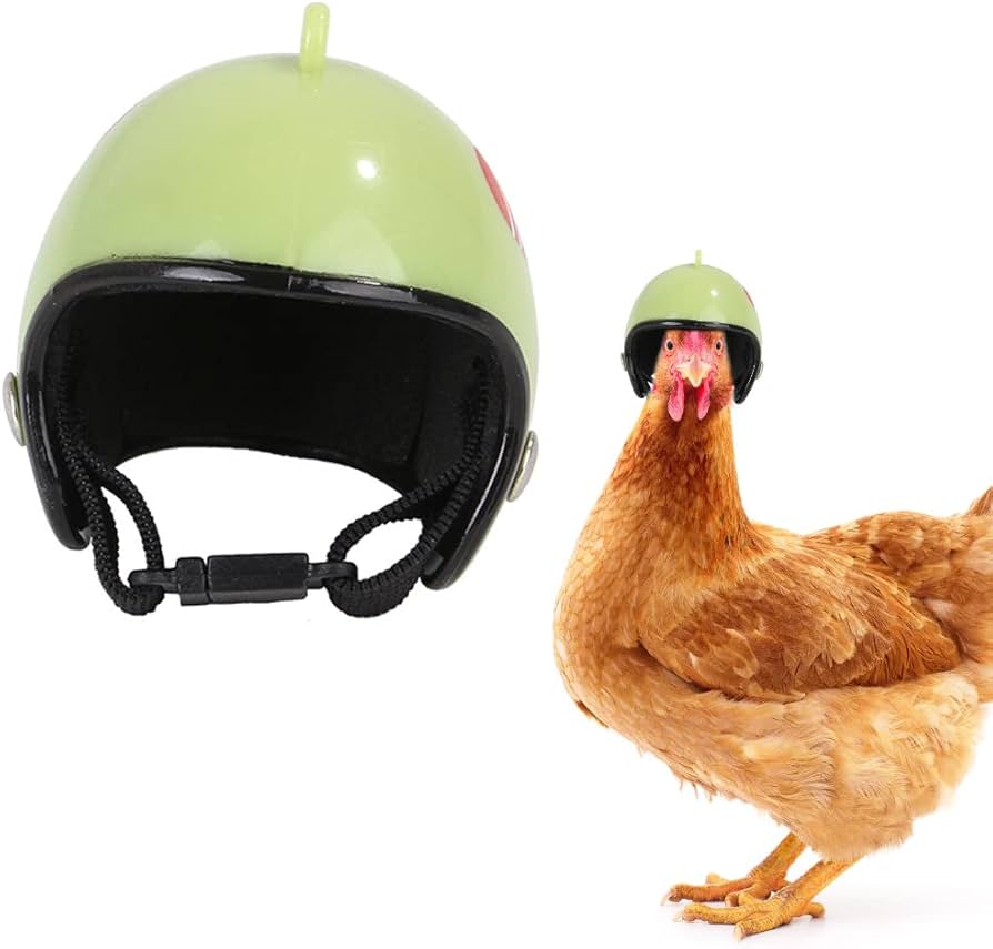 Amazon.co.jp: ニワトリの鶏のヘルメット | ペット用アニマル