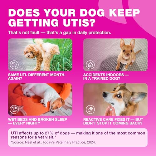 Image of Dog UTI Treatment - Dog Cranberry Supplement for Bladder & Kidney Health, Urinary Tract, Incontinence Support - Cranberry Supplement for Dog Incontinence - Bladder Control Cranberry Chews