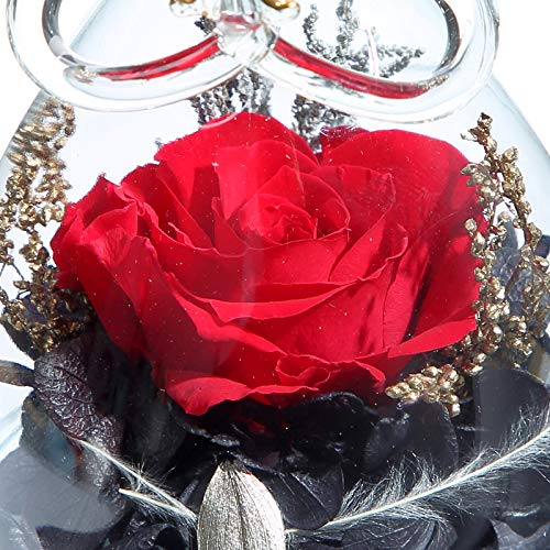 ANLUNOB Forever Red Rose in Angel Glass Figurines Artificial Flower in A Glass Dome - Eternal Handmade Flowers Galaxy Rose Gifts for Women Christmas Wedding Valentine's Day Anniversary and Birthday