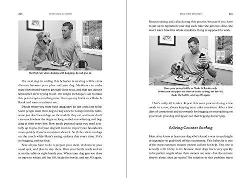 Lucky-Dog-Lessons-Train-Your-Dog-in-7-Days