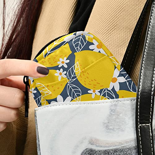 Image of Lemon Fruits Weekly Pill Organizer, Pill Cases Bag Portable Pill Container 7 Days Cute Pill Box Organizer Vitamin Supplement Holder with Zipper Velcro for Travel Family Business Camping
