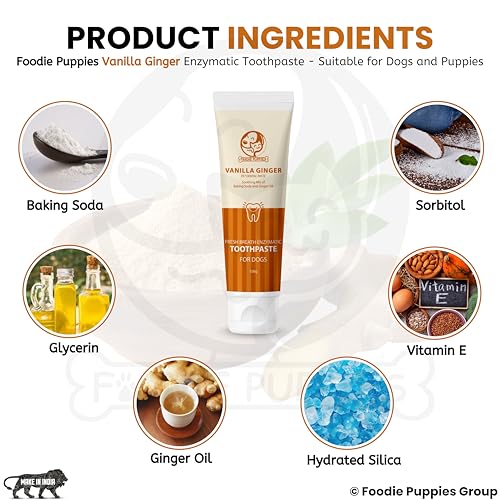 Image of Foodie Puppies Vanilla & Ginger Enzymatic Dog Toothpaste - 100g | Fresh Breath Formula with Soothing Vanilla & Ginger | Tartar Control Dental Paste for Dogs & Puppies