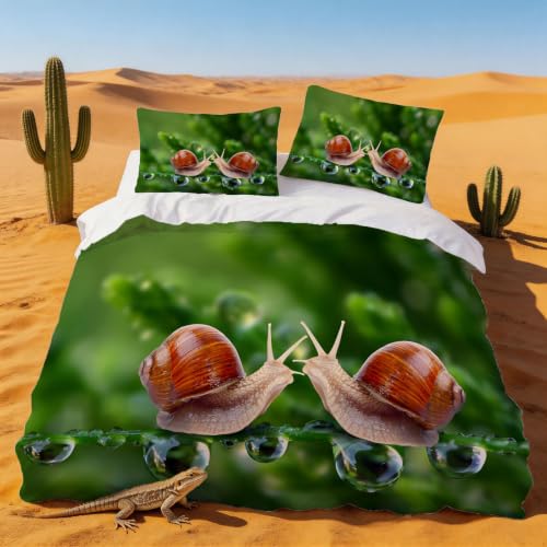 Housse de couette 200x200 escargot infroissable en microfibre douce - 2