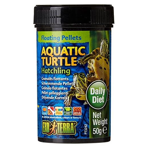 5 Best Foods For Baby Turtles – Complete Guide! – Reptiles Time