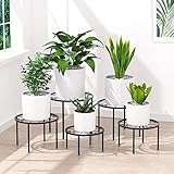 CADANI 5-Pack Decent Metal Plant Stands, Anti-Rust Iron Flower Pot Stand, Heavy Duty Plant Pot Shelf