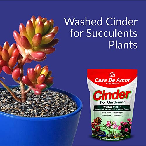 Image of Casa De Amor Cinder for Gardening, Washed, for Bonsai, Succulents, Cactus and Roses Soil Mix (Also Called Sinder) (2 Kg)