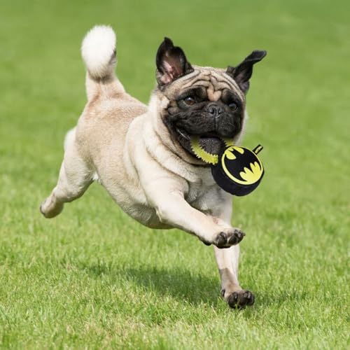 CERDÁ LIFE'S LITTLE MOMENTS - for Fan Pets Batman Hundespielzeug - Offizielle DC Comics Lizenz Mehrfarbig