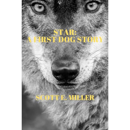 Star by Scott Miller episode artwork