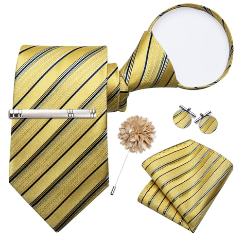 Image of DiBanGu Silk Zipper Ties for Men, Formal Pre-tied Necktie