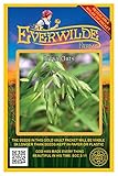 Everwilde Farms - 200 River Oats Native Grass Seeds - Gold Vault Jumbo Seed Packet