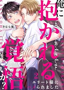 俺に抱かれる覚悟はいいか？～エリート様にハメられました２ (caramel)
