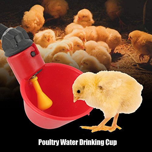 Wholesale Farm Poultry Automatic Drinking Water Cup Chicken Quail Drinker Fountain For Feeding Supplies From Thainpet, $7.16
