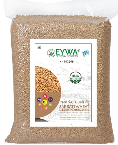 Image of Organic Sarbati Wheat Grains Seeds (5 Kgs) | For Farming, Sowing & Agriculture Use | Produce of India | 100% Natural & Non-GMO | By Eywa