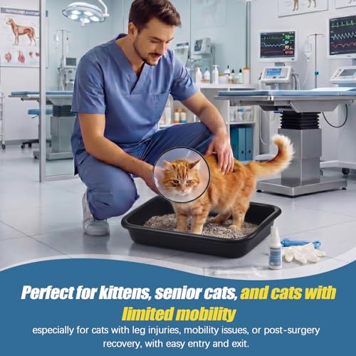 Caja de arena baja para gatos senior Uiifan 16.9x12x3.15 pulg miniatura 6