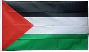 Prom Palästina Flagge 90x150 Cm - Polyester Fahne Mit Messingösen