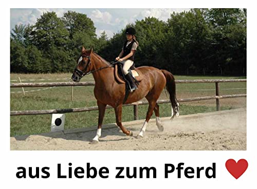 Balancezgel Linda Tellington-Jones color negro para adiestramiento equino 3
