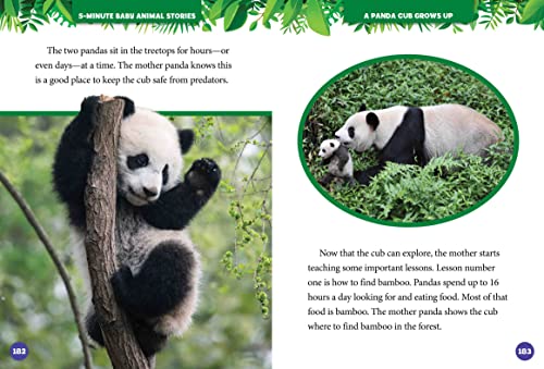 National Geographic Kids 5-Minute Baby Animal Stories 6 51PoduRPIUL