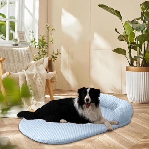 Kühlendes Hundebett, waschbares Hundekühlbett, orthopädisches kühlendes Hundebett, Kühlmatte, erhöhtes kühlendes Hundebett, tragbares kühlendes Hundebett mit rutschfester Unterseite für Haustiere