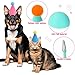 6 PCS Mini Birthday Hats for Stuffed Animals, Cute Stuffed Animal Party Hats Multicolor Mini Party Pet Hat Small Adjustable Parties Animals Hat with Pom for Dog Cat Rabbit Decoration