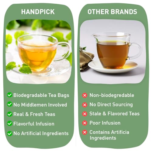 HANDPICK, Organic Moringa Tea Bags (100 Count) Non-GMO, Caffeine Free, Pure Moringa Leaves | Sweet and Light Herbal Tea Bags, Round Eco-conscious Teabags - Image 6