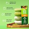 IQBAR Clean Plant Protein Bars - Fruit Lovers Variety and Matcha Chai 12 Count Bundle - Keto, Vegan, High Fiber, Gluten and Dairy Free, Low Sugar Snack - Brain and Body Nutrients for Focus, Energy