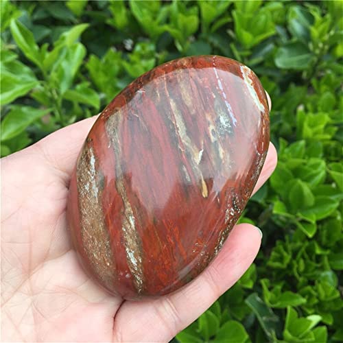 JRXFXEKW Cristal Naturel spécimen Brut Pierre de Bois Naturel Pierre de Palmier Pierre de Cristal irrégulière Lisse Poli Galet ReikiChakra StoneStone