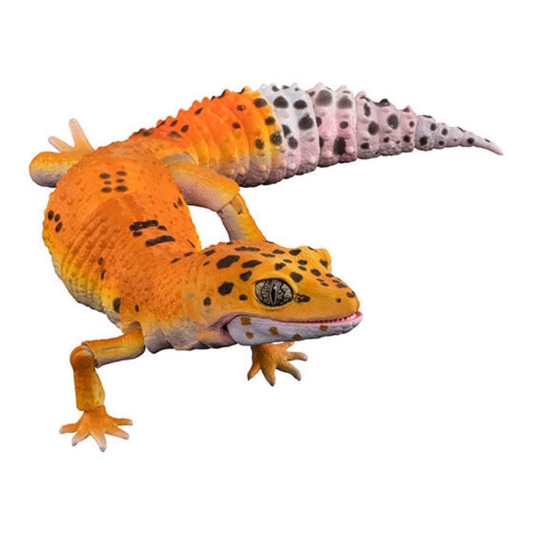 Amazon.co.jp: いきもの大図鑑アドバンスレオパードゲッコー