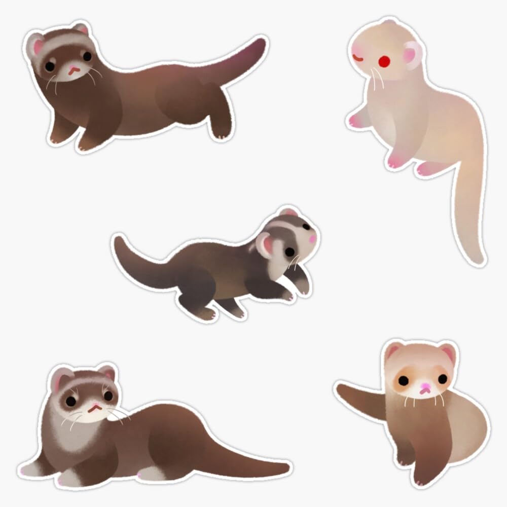 Ferret - Bright Sticker Vinyl Waterproof Sticker Decal Car Laptop Wall Window Bumper Sticker 5"