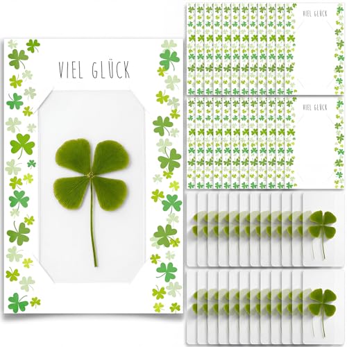 Nezyo 24 Sets Glücksbringer Geschenke für Prüfung Abschluss Vierblättrige Kleeblätter Lesezeichen Glücksklee Grußkarte Dankeschön Aufmunterung Kleine Abschiedsgeschenk für Kollegen Jobwechsel Freund