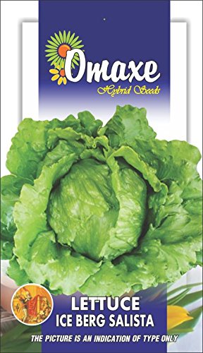 Indica Super Agri Green Lettuce Iceberg SALISTA 100 Seeds -2 Packets (B01CXBRR5E) Amazon Price History, Amazon Price Tracker