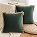 HAUSEIN 2er Set Samt Stück Kissenbezug pastoralen Stil, Einfarbig Kissenbezüge, Dekorative Kissenhülle Kopfkissen, Weich Bequem, Für Wohnzimmer Schlafzimmer, Sofa Dekokissen (45x45cm, Dunkles Grün)
