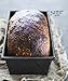 Josey Baker Bread: Get Baking • Make Great Bread • Be Happy!