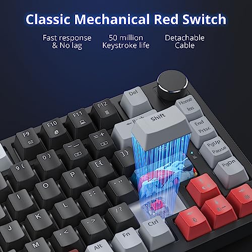 Image of Fogruaden Mechanical Gaming Keyboard, 75% Wired 75% Keyboard, Hot Swappable Seal Holder, Red Switch, RGB Backlight, 82 Keys, TKL Mechanical Keyboard, NKRO