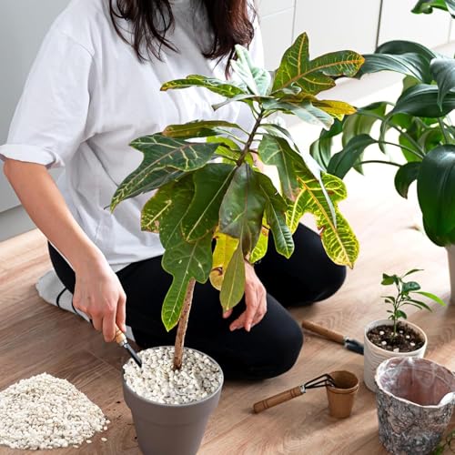 BIOVITA Perlit 10L - Perlite für Pflanzen zur Boden Substratverbesserung - 3-6mm - Bodenverbesserung - Feuchtigkeitsspeicher Substrat - Ideal für Garten & Zimmerpflanzen