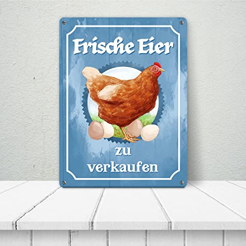 Frische Eier Metallschild XXL in 28x38 cm mit Huhn Motiv für den Bauernladen oder Dekoration am Hühnerstall – Bild 3