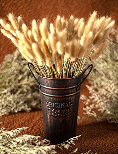 Lesen Farmhouse Metal Wall Planter With Hooks Country Home Hanging Wall Vase Pocket Planters Flowers Holder For Plants Or Flower Indoor Or Outdoor Rustic Wall Decor,Set Of 2 #TOP6