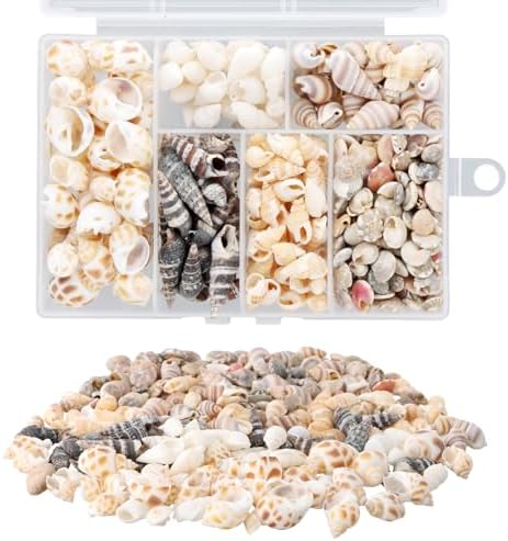 Shell 100pcs Nivofu 100pcs Sea Shells, 0.7