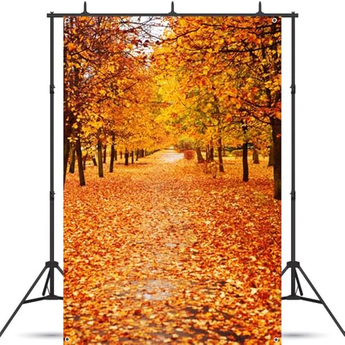 Qinunipoto 秋の背景 紅葉の森 撮影 背景 1x1.5m 秋の風景壁掛け 撮影布 撮影用 バックグラウンド 写真 結婚式 誕生日 パーティーの装飾 ポリエステル製のサムネイル