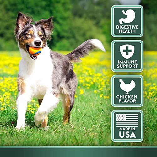 Wildopolis Probiotics For Dogs With Prebiotics| 90 Soft Dog Probiotics Chews For Dog Digestive Support& Gut Health| Dog Gas, Diarrhea& Constipation Relief| Immune System Support #TOP5
