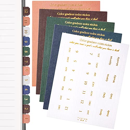 Onglets mensuels pour planificateurs OIIKI | 20 feuilles d'autocollants