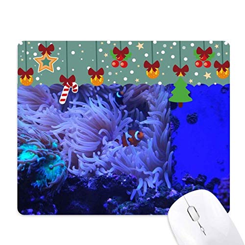 I[VAll TS TCGXRʐ^ }EXpbh Q[ ItBX }bg NX}X Spbh