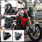 Lorababer Motorrad Frontscheibe Windschutzscheibe Baffle Visor Windabweiser für B.M.W F900R F 900 R F-900-R 2020 2021 ABS Kunststoff Windschild Displayschutz (Rauch mit Halterung)