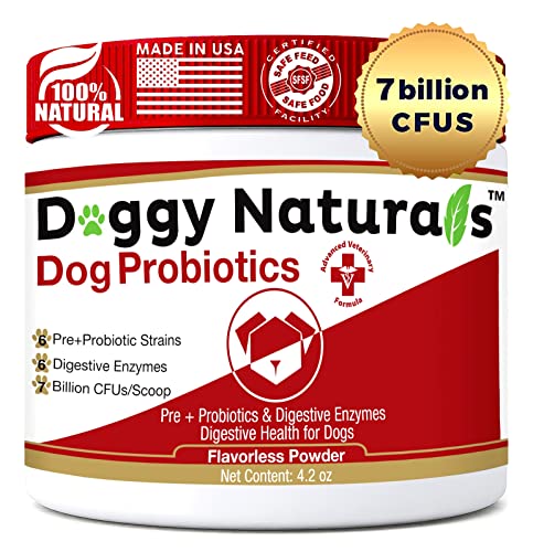 Probiotics for Dogs and Cats - Advanced Max-Strength Digestive Health, Increase & Maintain Proper Gut Flora- All Natural Probiotics Powder - (Made in USA) (Powder 7 Billion CFU, 4.2 Oz)
