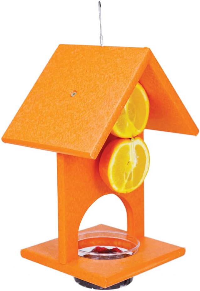 Songbird Essentials SERUBFJF Fruit and Jelly Oriole Feeder (Set of 1)