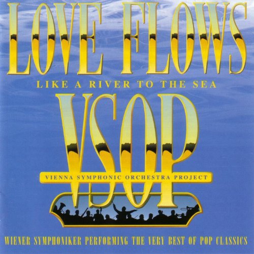 The Vienna Symphony Orchestra