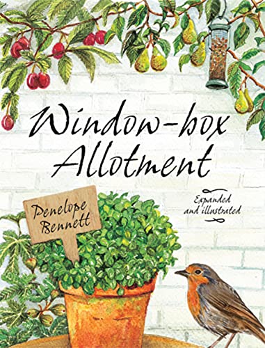 Window-box Allotment view 2