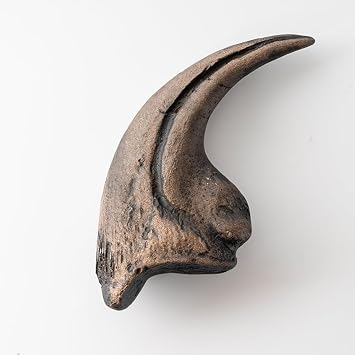 Fossil Tooth and Claws Various Prehistoric Dinosaurs, Megalodon Shark Tooth, Faithful Replica Yellow Alosaurus Claws